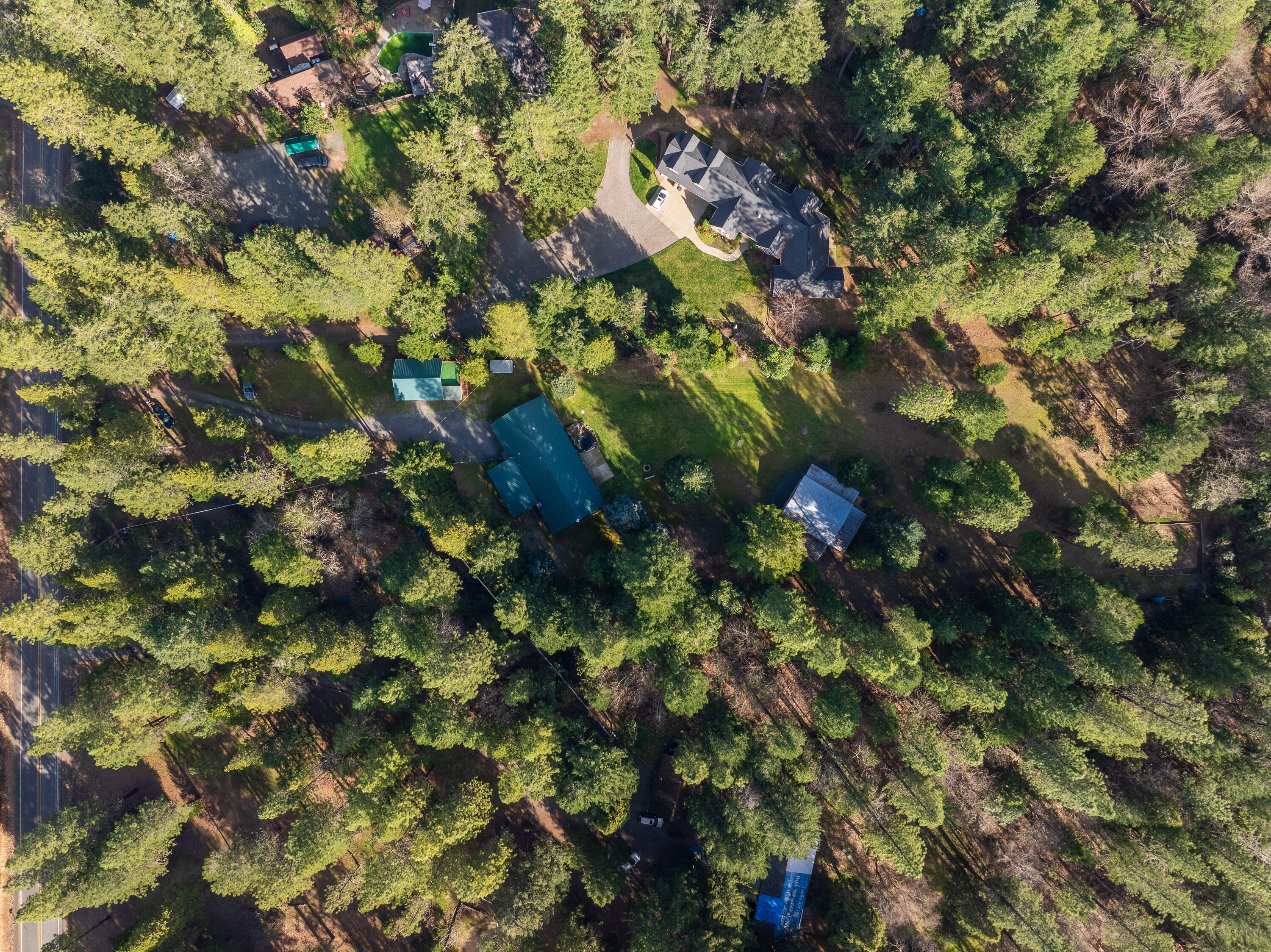 244 Riessen Road Grants Pass, OR 97526 - Photo 51 of 52 a picture of tree