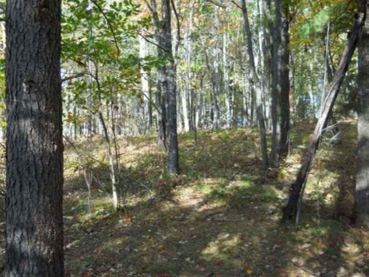 Lot 2 Interlocken Road Hazelhurst, WI 54531 - Photo 7 of 10 Gallery Image 7