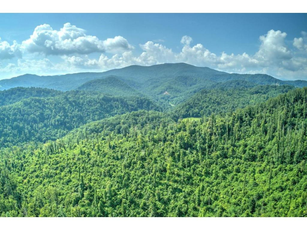 999 Gordon Ridge Road Butler, TN 37640 - Photo 34 of 35 Photo 34