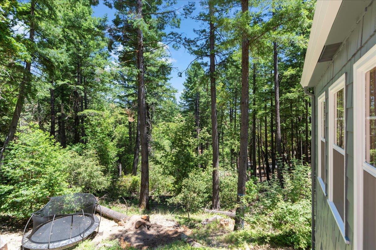 19005 Old Vineyard Road Los Gatos, CA 95033 - Photo 39 of 51 a view of outdoor space and garden