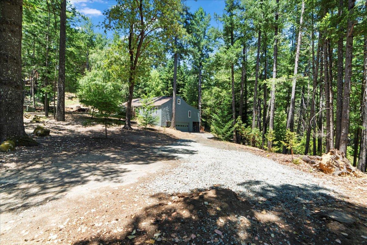 19005 Old Vineyard Road Los Gatos, CA 95033 - Photo 42 of 51 a view of a backyard of a house