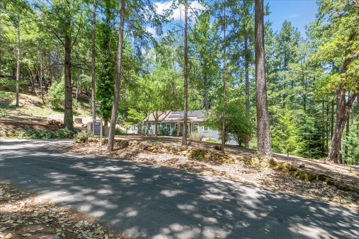 19005 Old Vineyard Road Los Gatos, CA 95033 - Photo 43 of 51 a view of a field with trees in the background