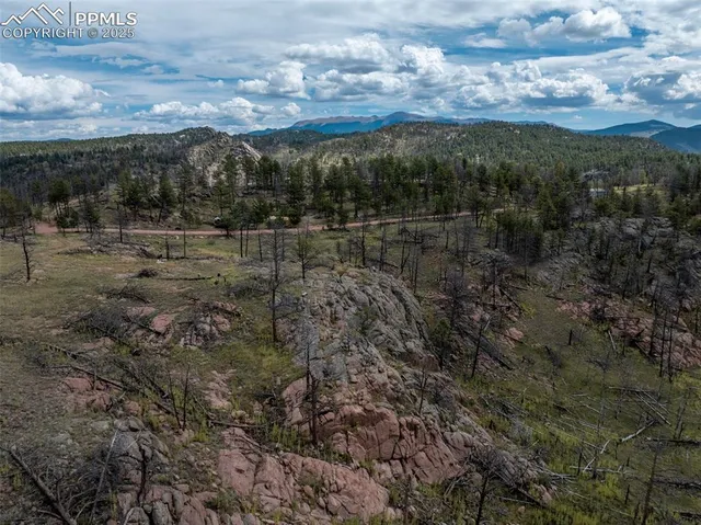 a bathroom with a shower curtain