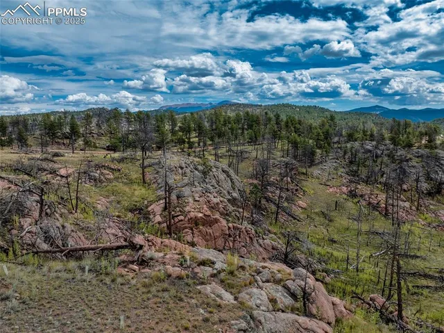 $55,000 | 224 Chapparal Trail, Florissant, CO 80816