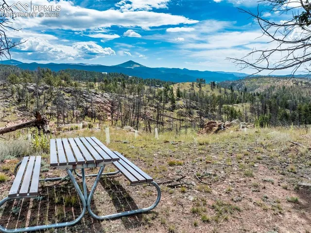 a view of a swimming pool with a yard