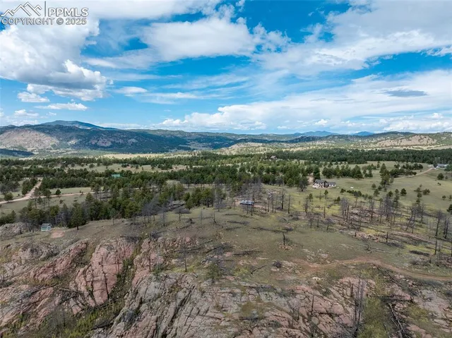 a view of a city with lots of trees