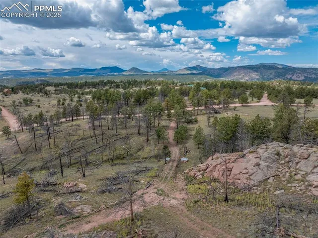 a view of a yard with a tree