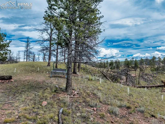 a view of a yard with a tree