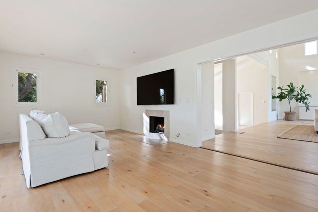 a view of a yard with plants and trees