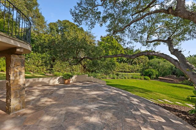 a view of a garden with large trees