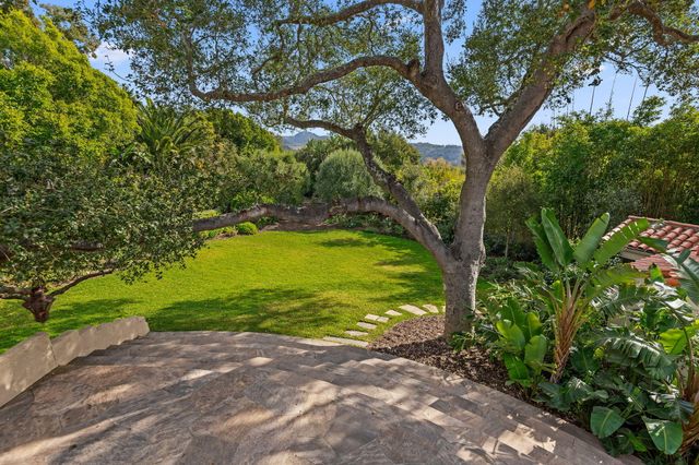 a view of a garden with a fountain