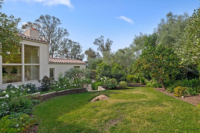 a view of a park with large trees