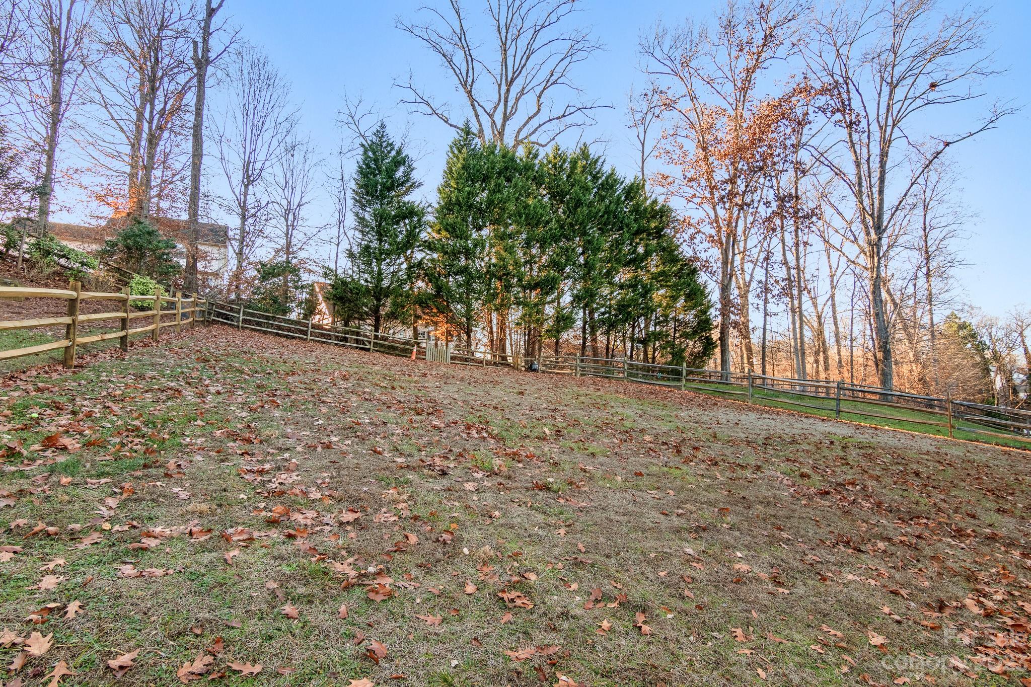 741 Knightswood Road Fort Mill, SC 29708 - Photo 46 of 47 a view of a yard with a tree