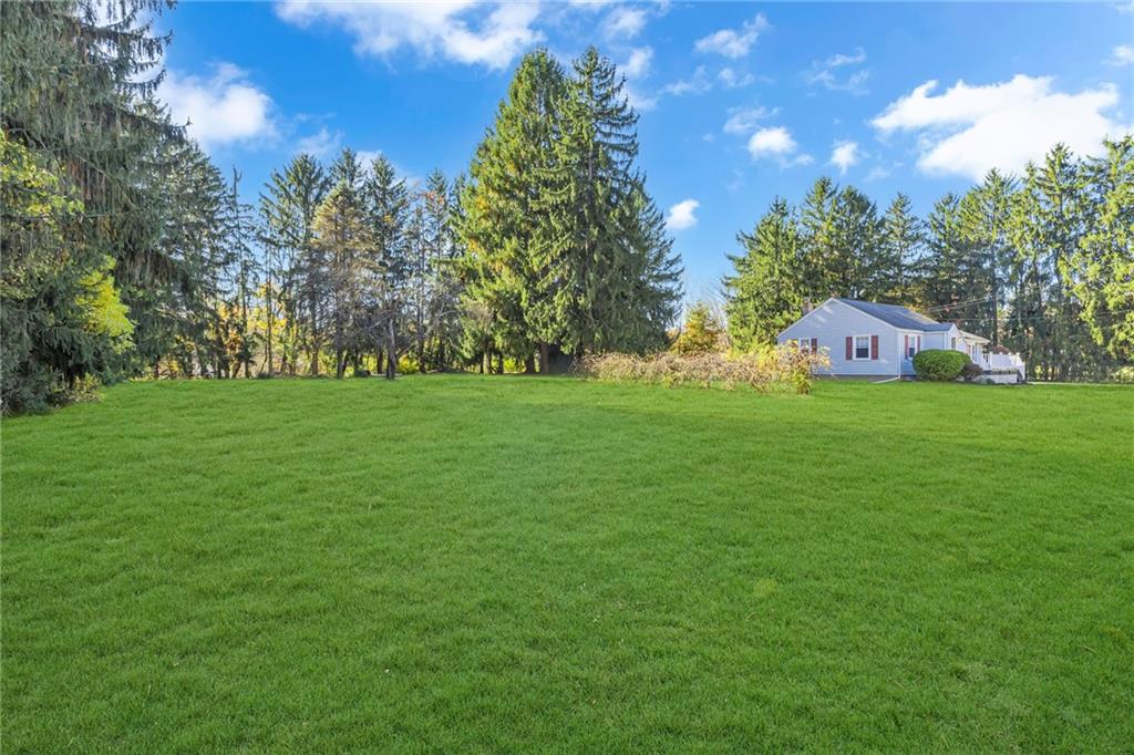 551 Engle Road Industry, PA 15052 - Photo 10 of 23 a view of a big yard with plants and large trees