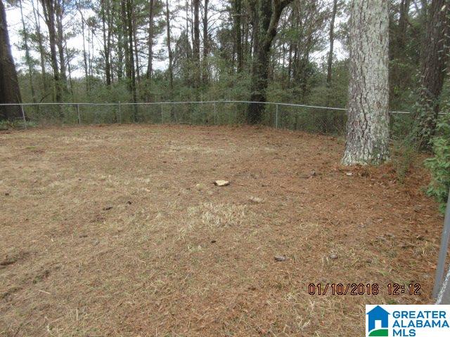 206 Old Macedonia Ragland, AL 35131 - Photo 11 of 13