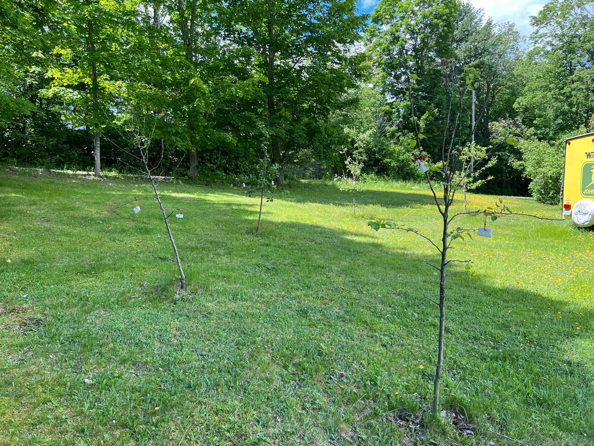 34 Thomas Road Sangerville, ME 04479 - Photo 27 of 28 28