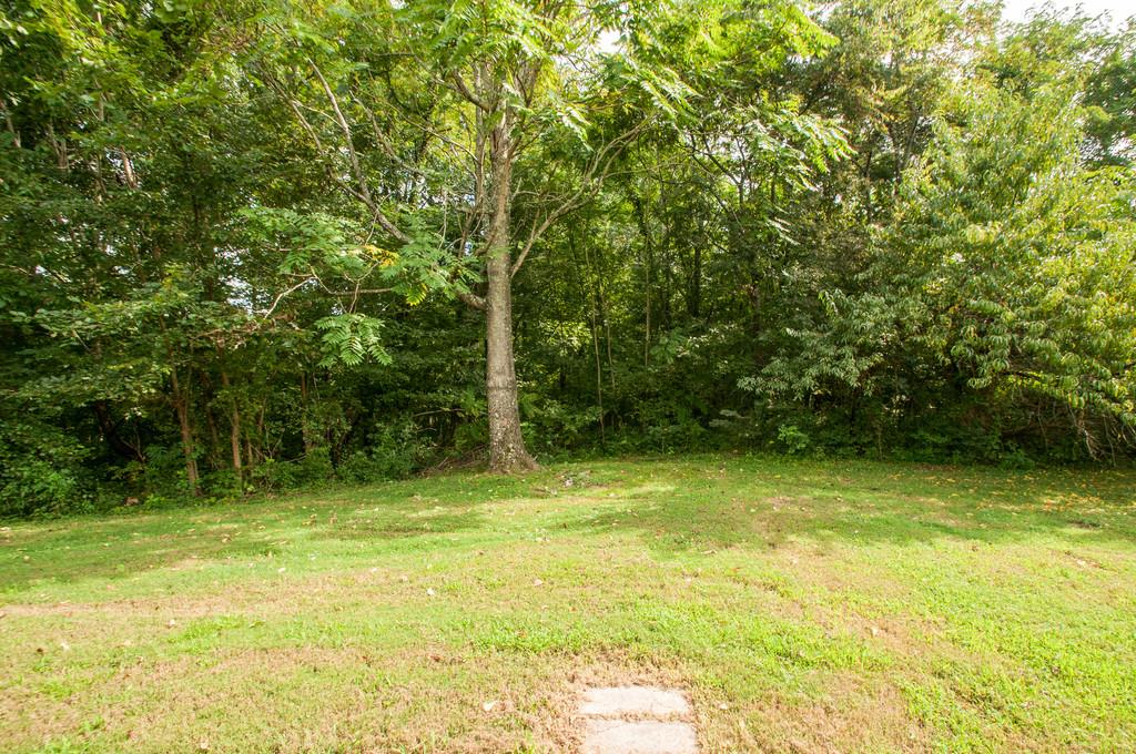 22 McMurtry Road Goodlettsville, TN 37072 - Photo 17 of 18 Gallery Image 17