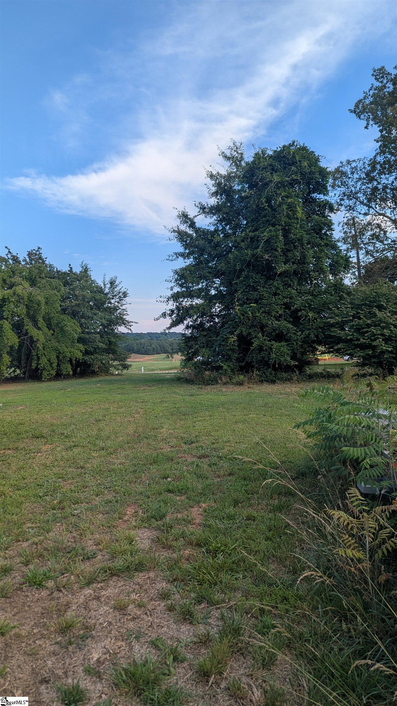 0 Roddy Road Campobello, SC 29322 - Photo 1 of 6