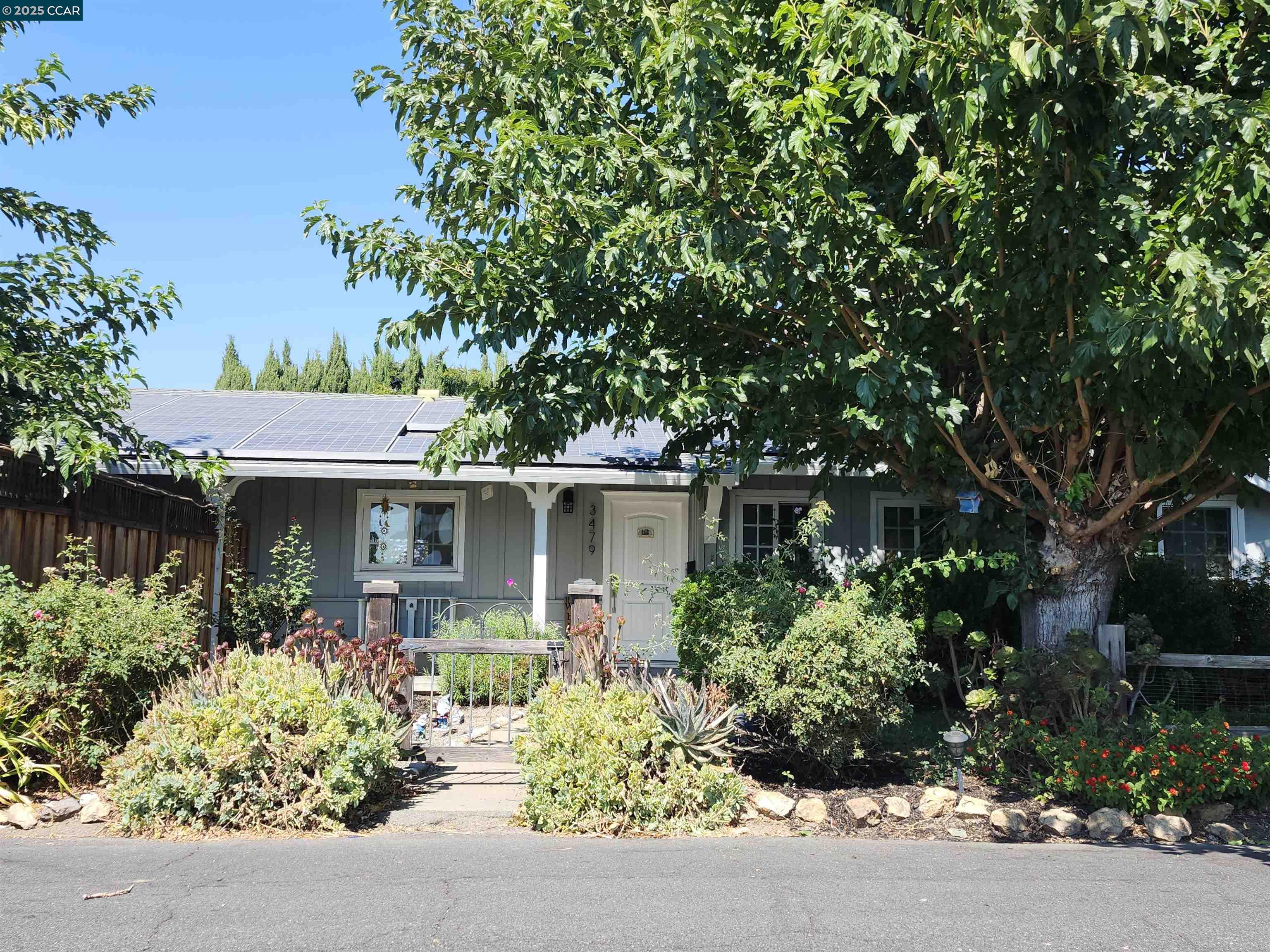 3479 Rose Court Concord, CA 94519 - Photo 1 of 60 front view of a house with a small yard