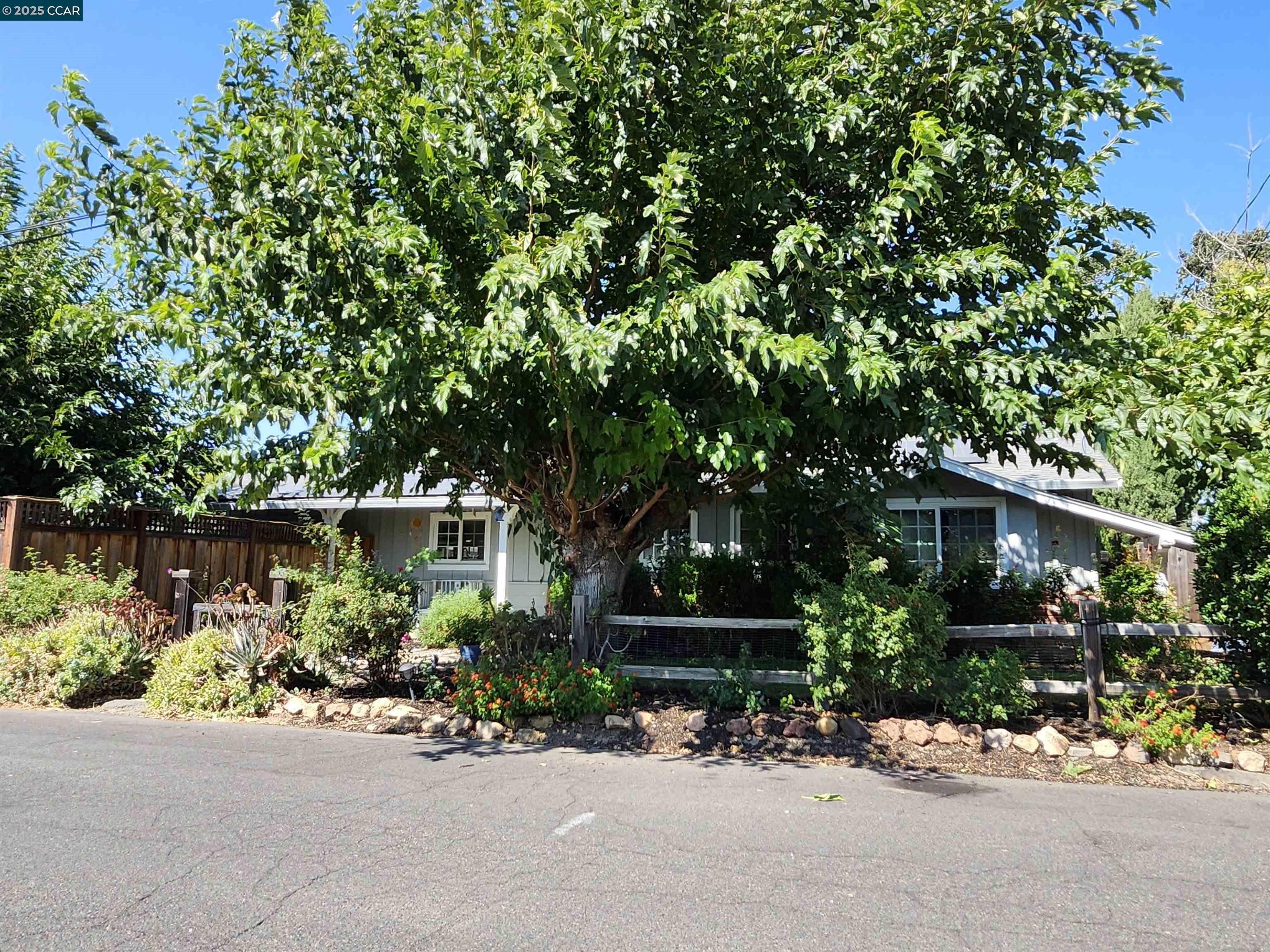 3479 Rose Court Concord, CA 94519 - Photo 2 of 60 front view of a house with potted plants and a bench