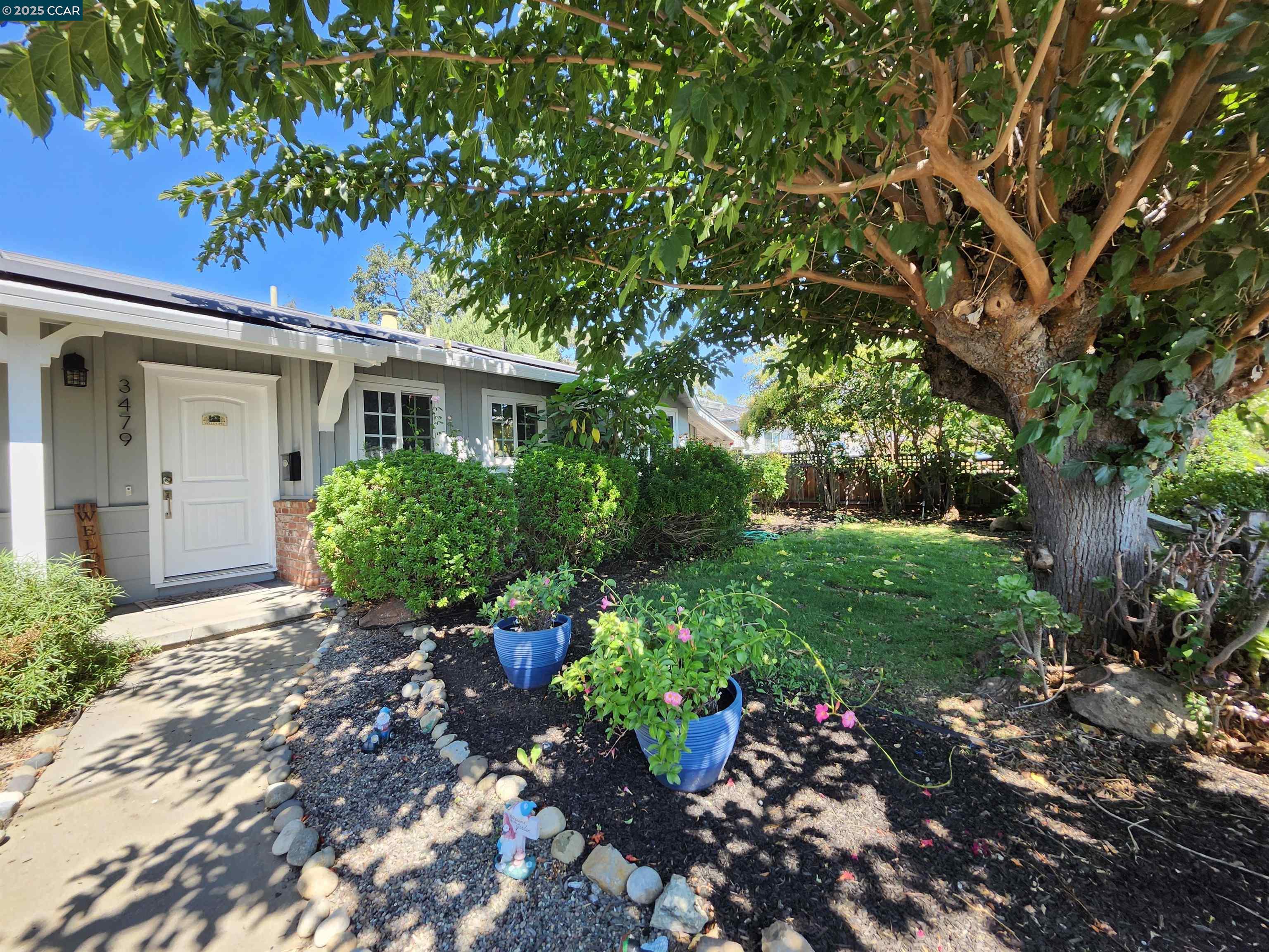 3479 Rose Court Concord, CA 94519 - Photo 5 of 60 a front view of a house with a yard