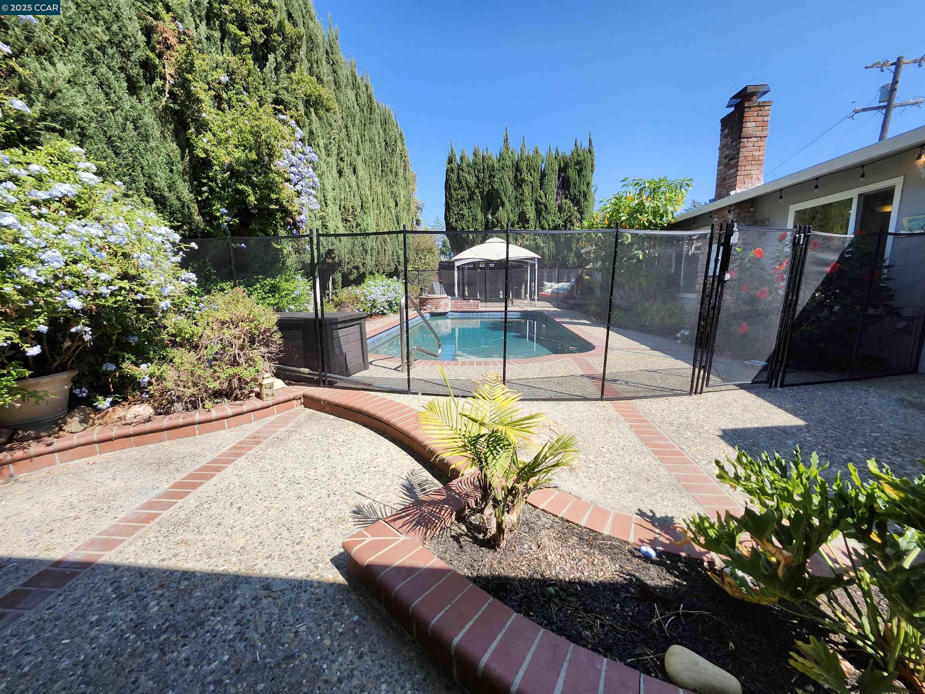 3479 Rose Court Concord, CA 94519 - Photo 52 of 60 a view of a backyard with plants