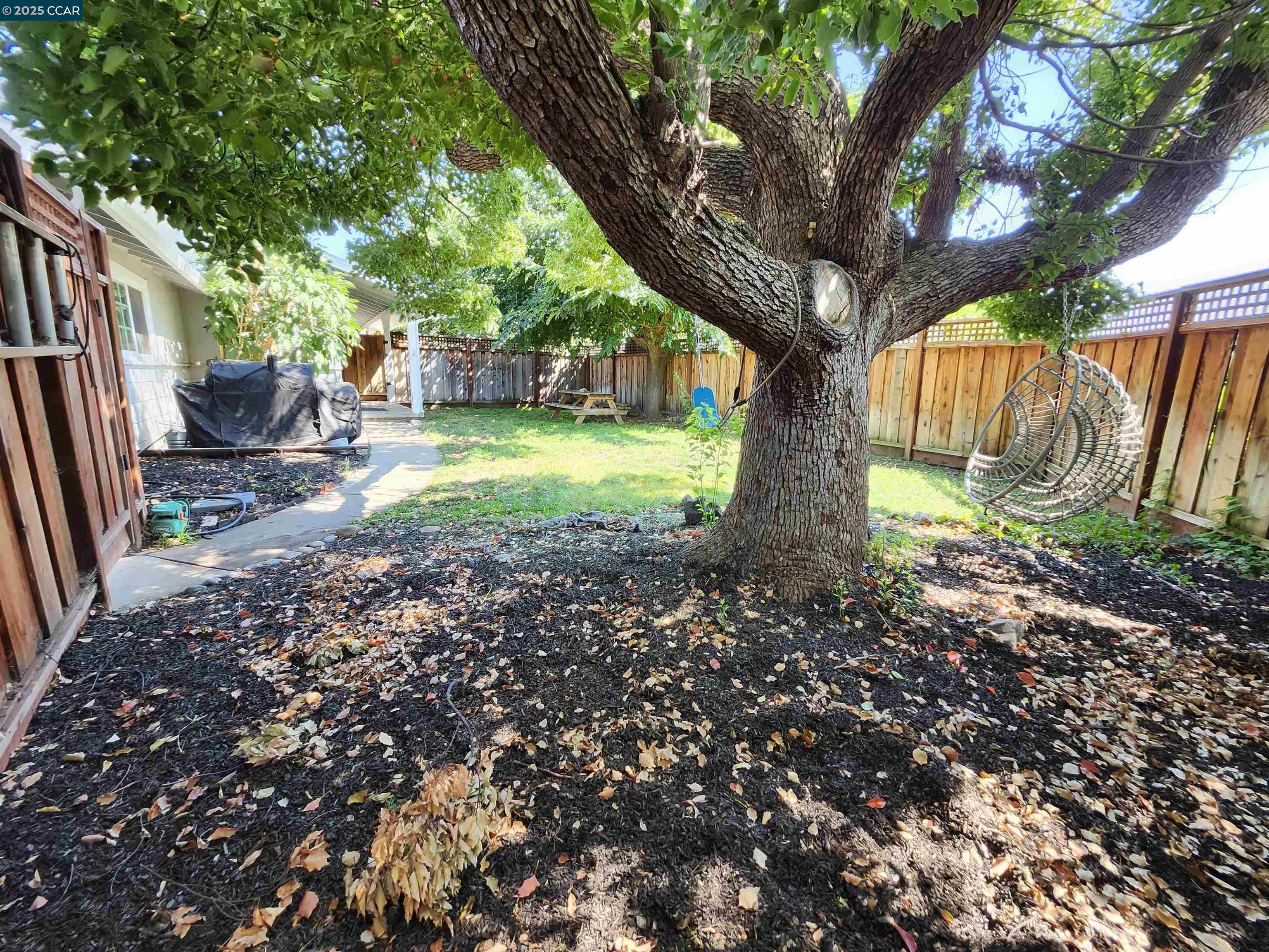 3479 Rose Court Concord, CA 94519 - Photo 60 of 60