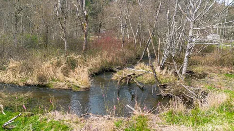 a view of a forest