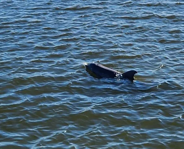 a view of a street with potted plants