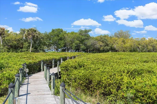 a view of stairs and flowers