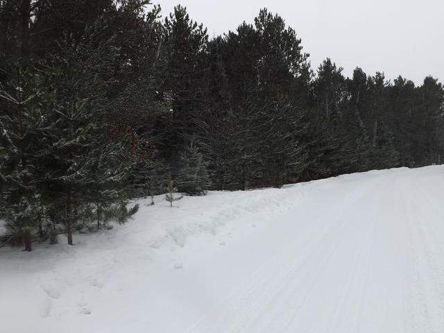 On Dyer Road, Unit LOT 12 Eagle River, WI 54521 - Photo 4 of 4 Gallery Image 4