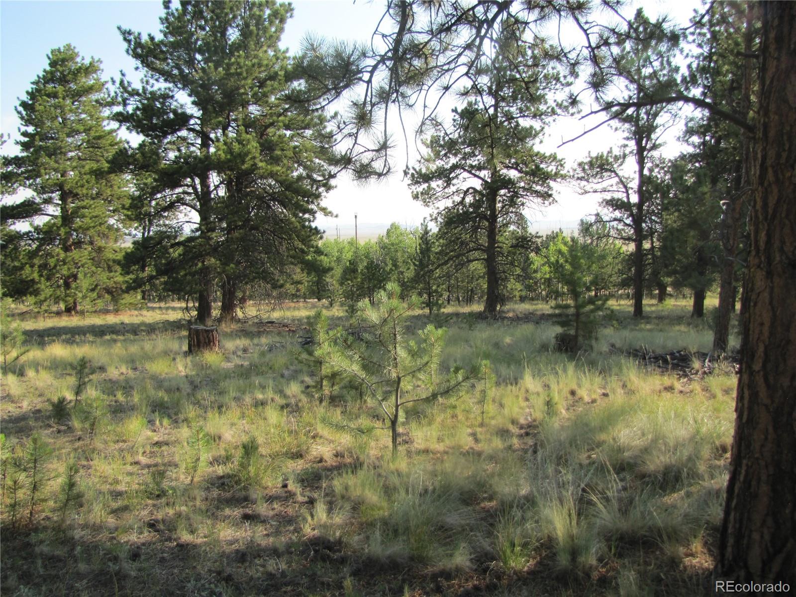 9736 Ranch Road Hartsel, CO 80449 - Photo 9 of 30 Gallery Image 9