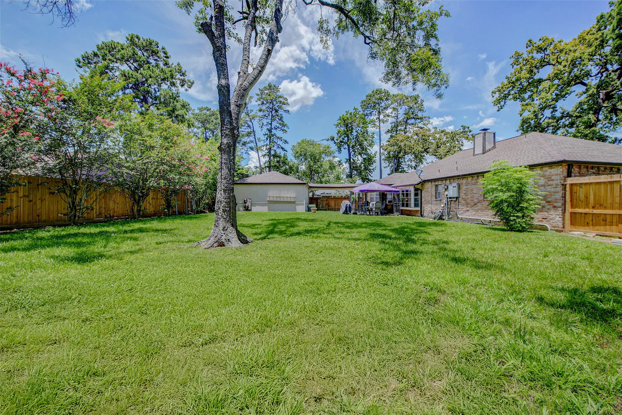 25531 Friar Lake Lane Spring, TX 77373 - Photo 4 of 47
