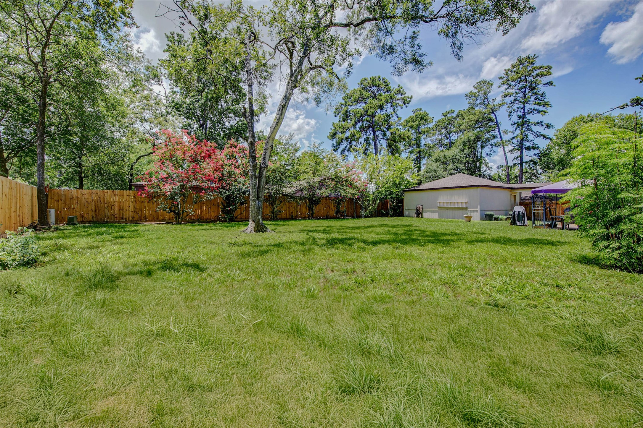 25531 Friar Lake Lane Spring, TX 77373 - Photo 46 of 47