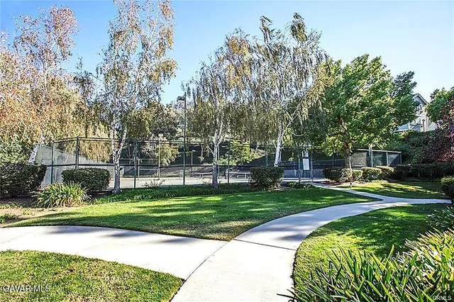 a view of a park with large trees