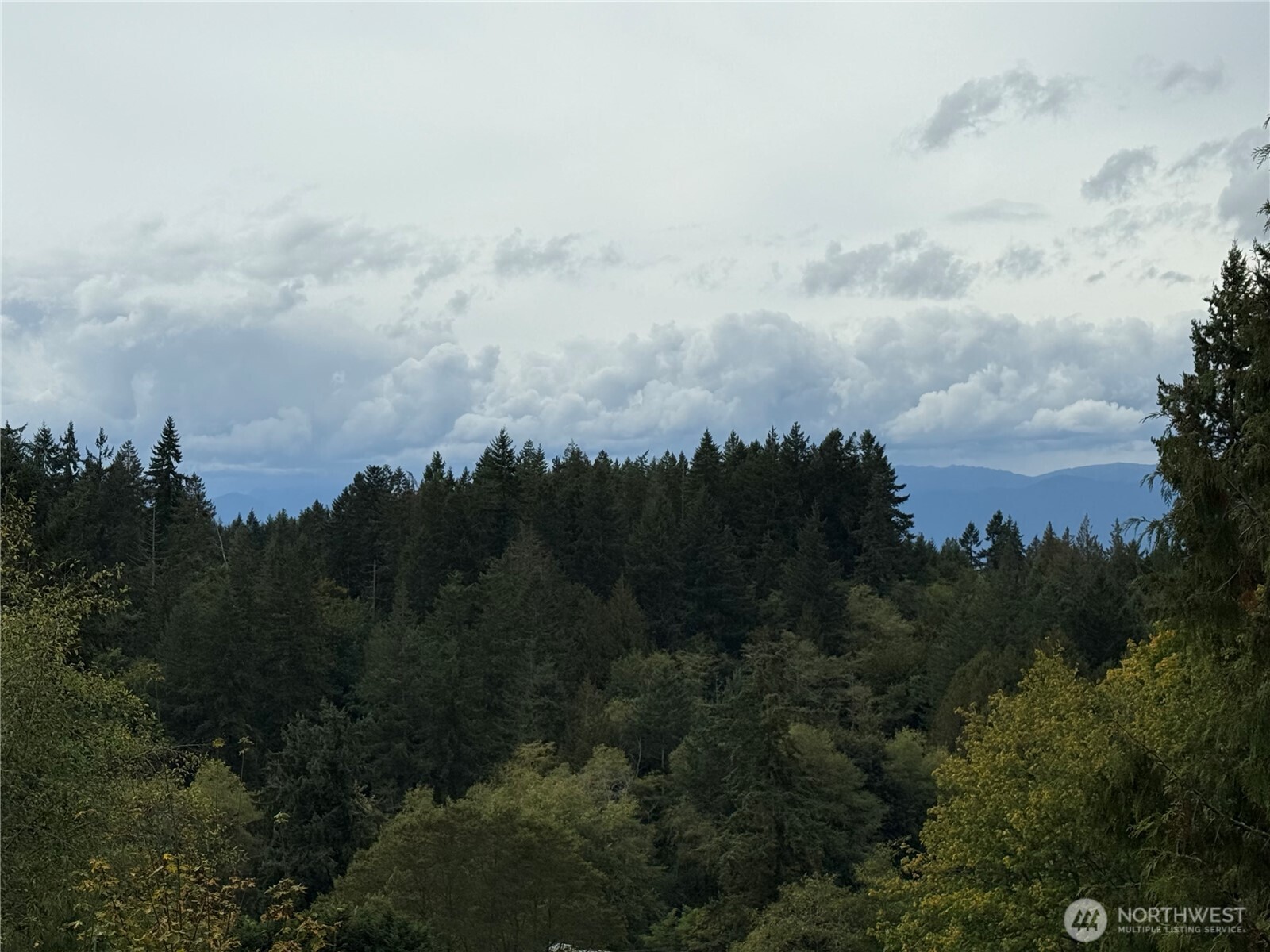 27272 Big Valley Road Northeast Poulsbo, WA 98370 - Photo 21 of 32