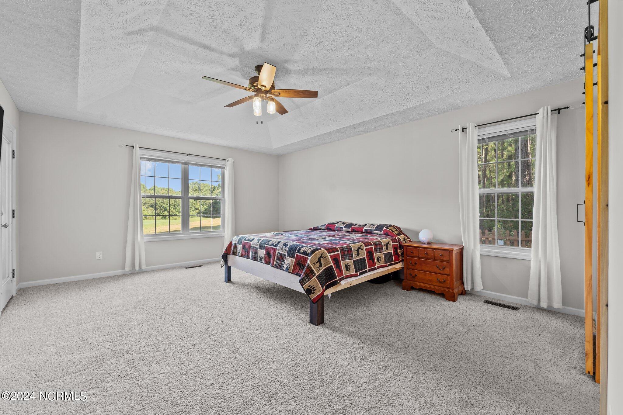 4066 Niagara Carthage Road Whispering Pines, NC 28327 - Photo 26 of 47 26-web-or-mls-DSC06346