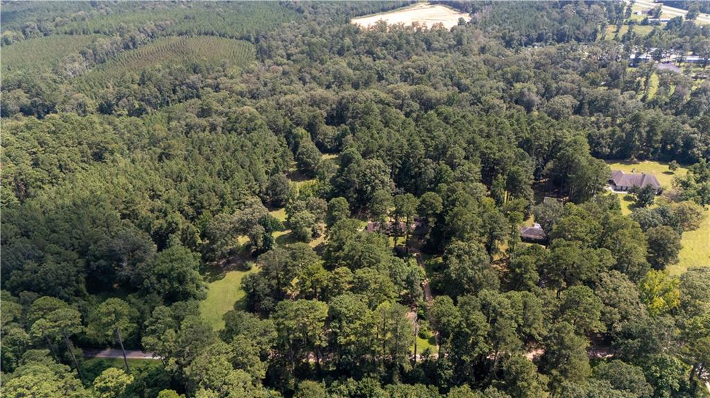 204 Holt Road Pollock, LA 71467 - Photo 2 of 20 Gallery Image 2