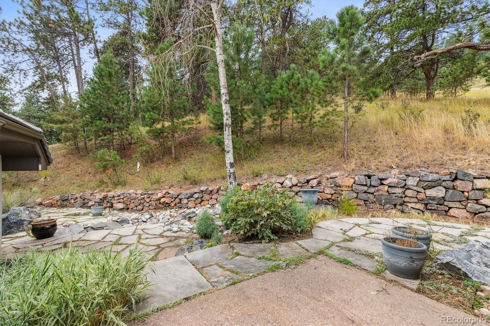 981 Sleepy Hollow Road Golden, CO 80401 - Photo 41 of 50 a view of a lake with a large tree