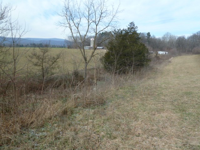 9683 Community Center Road Bridgewater, VA 22812 - Photo 11 of 13 a view of a dry yard with wooden fence