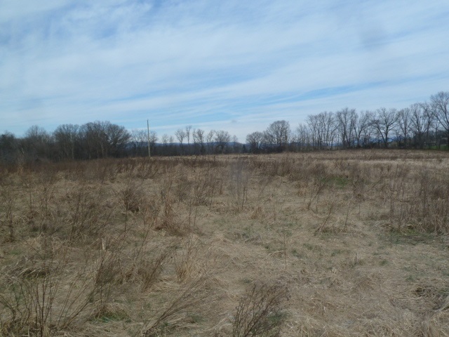 9683 Community Center Road Bridgewater, VA 22812 - Photo 12 of 13 a view of lake