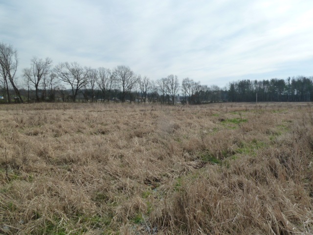 9683 Community Center Road Bridgewater, VA 22812 - Photo 2 of 13 a view of a field with trees in background