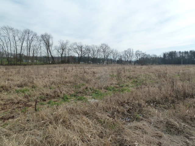 9683 Community Center Road Bridgewater, VA 22812 - Photo 3 of 13 a view of a lake view