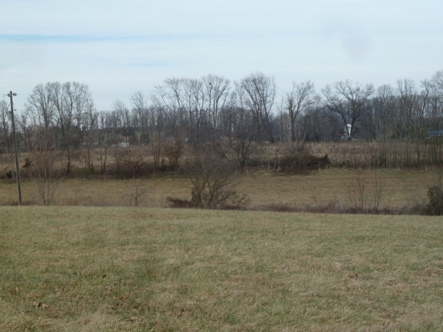9683 Community Center Road Bridgewater, VA 22812 - Photo 7 of 13 a view of a yard