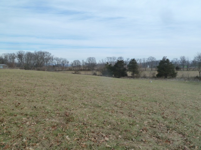 9683 Community Center Road Bridgewater, VA 22812 - Photo 9 of 13 a view of a field with an ocean view