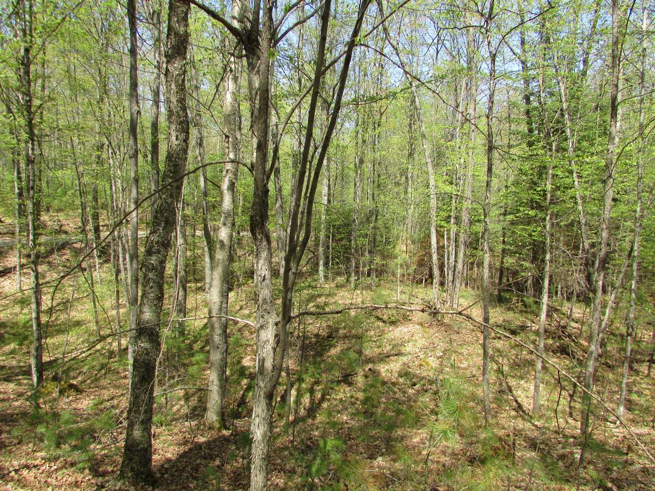 On Ridgeview Drive Harshaw, WI 54529 - Photo 15 of 19 Gallery Image 15