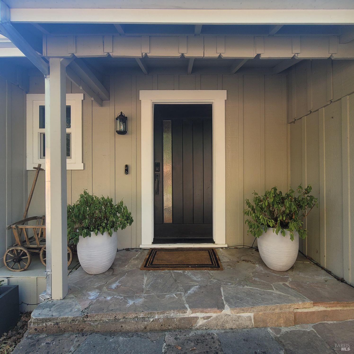 a view of a potted plant in front of a house
