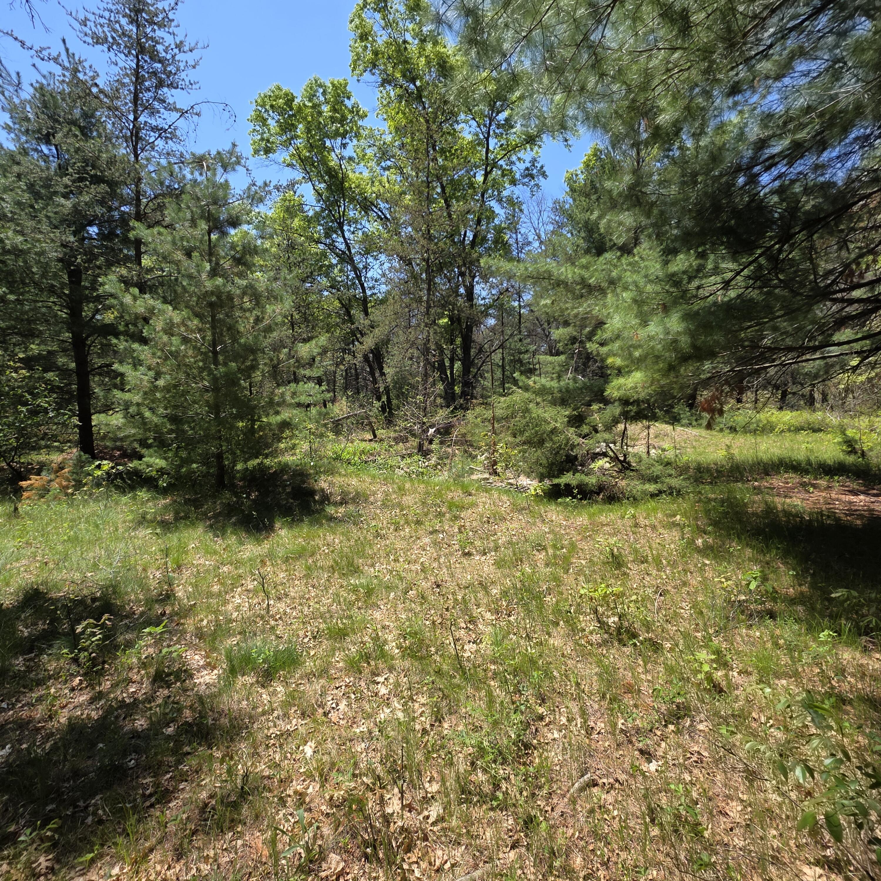 Wilma's Way, Unit PARCEL E Baldwin, MI 49304 - Photo 5 of 13 20260528_141527