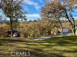 a view of dirt yard with large trees