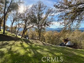 a view of yard with green space